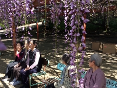 ��������1