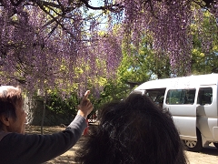 ��������2