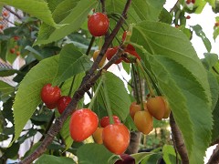 ��������1