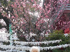  �~�E������