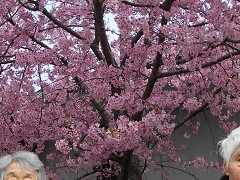  �~�E������