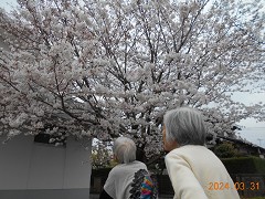  �������E�t�̂��H����