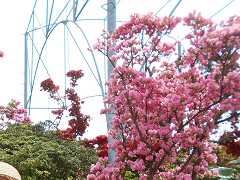  �������E�t�̂��H����