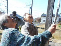  ���w�A���J���A�V�N��A�a������