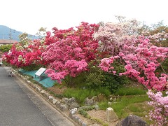  �������A�a������A������