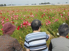  �ߋ�A���َq�o�C�L���O�A�|�s�[�����A�a������