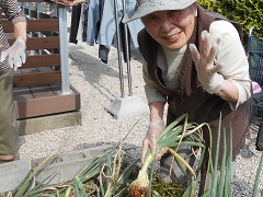  �ʔK���n�A���z�Ԍ����A���a������