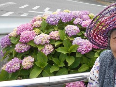  �ʔK���n�A���z�Ԍ����A���a������